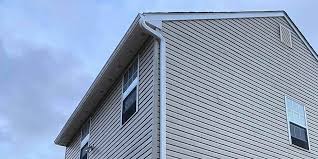 Best Custom Trim and Detailing for Siding  in Montverde, FL